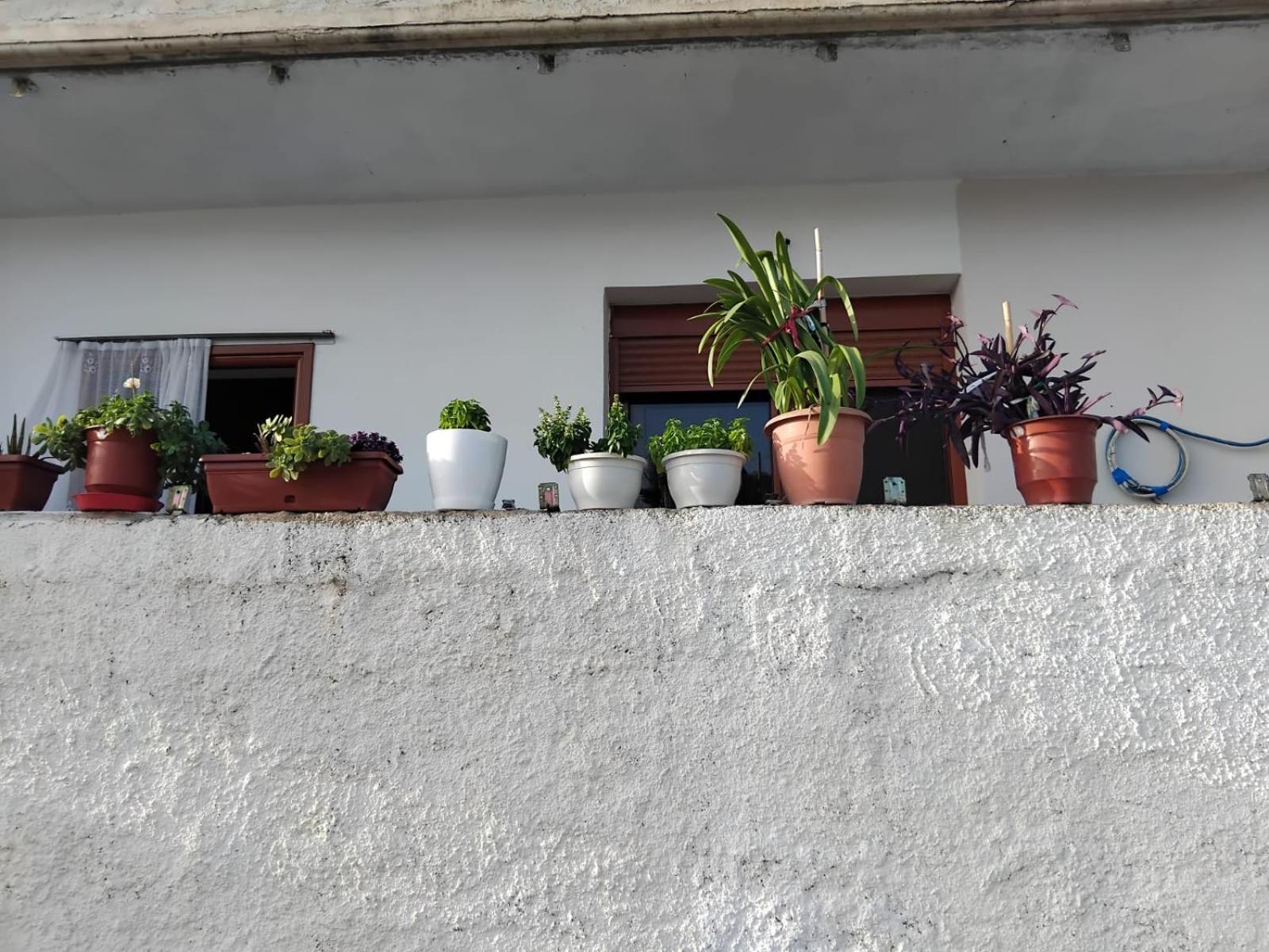 Casa Di Alex Dom wakacyjny *